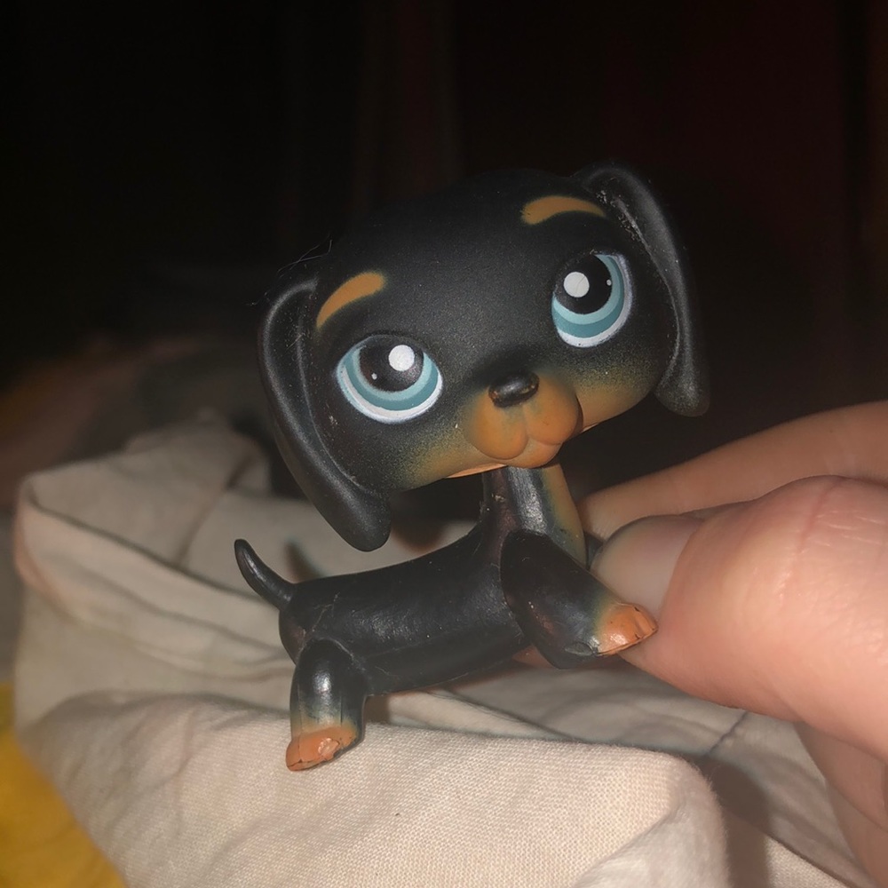 Black littlest pet shop dog